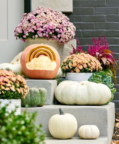 front-steps-rainbow-carved-etched-pumpkins-mums-0qg4r2dp4vw8zr5oh3iful-fb90b4f816b04d15a07b3907ae6eac74