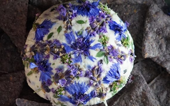 Blue edible flowers art