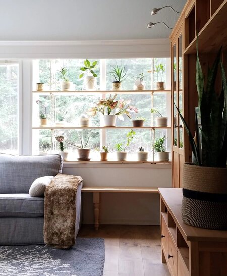 Hygge hanging plants