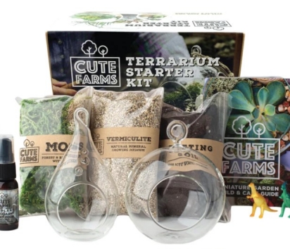 terrarium-starter-kit-diy-with-round