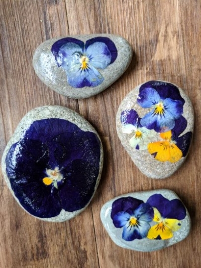 Pressed-Flower-Rocks