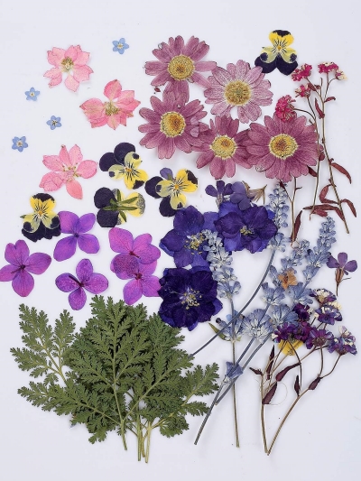 Pressed-Flowers-Herbarium-Jewelry-Making