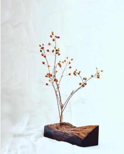 Wasabi Dried Flower Art