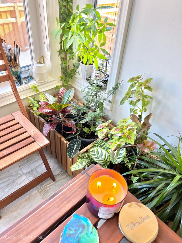beautiful-houseplants-in-flower-planter-box-indoor-garden