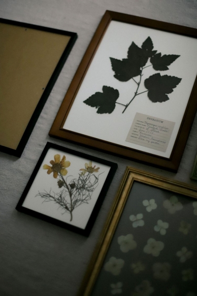 diy-pressed-flower-art