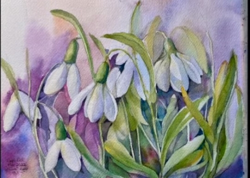 Alluring Snowdrops