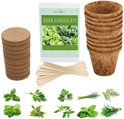 Biodegradable-seed-starter-pots