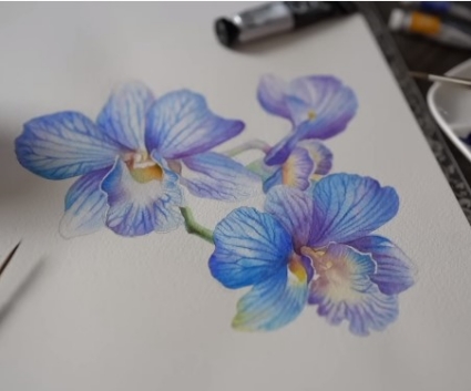 Blue orchids