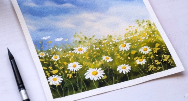 Daisy Flower field