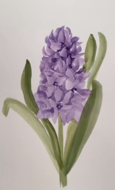 Easy Hyacinth Flowers