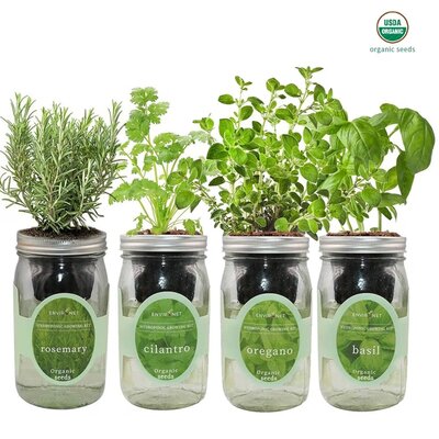 Mason-jar-herb-seed-starters