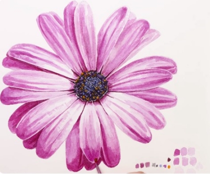 Realistic Daisy Flowers