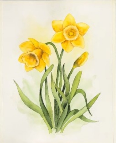 Realistic Spring Daffodils