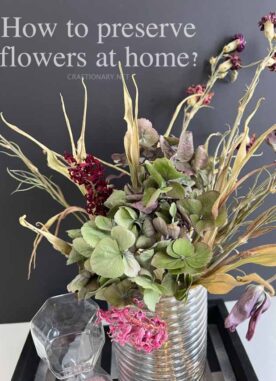Nine Proven Methods to Dry Flowers