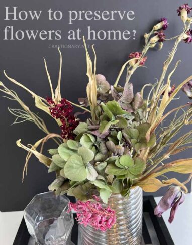 Nine Proven Methods to Dry Flowers