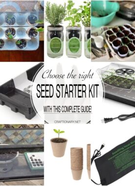20 Right Seed Starter Trays and Kits Options To Begin