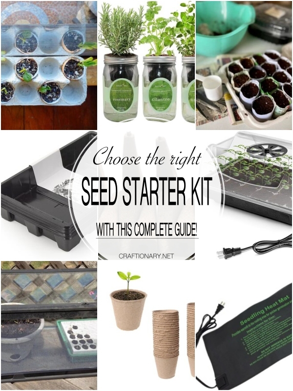 seed-starter-kits-and-trays-for-beginners