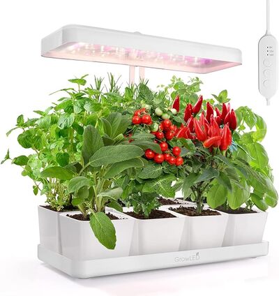 Grow-light-herb-garden-planter