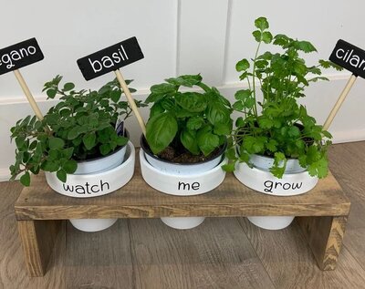 Kitchen-Wood-Herb-Garden