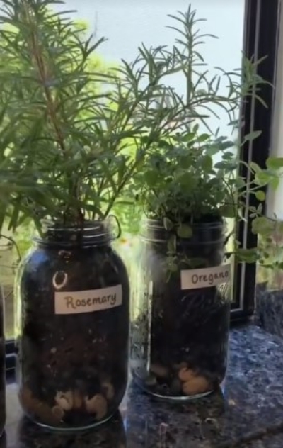Sustainable Window Herb Garden with Mason Jars