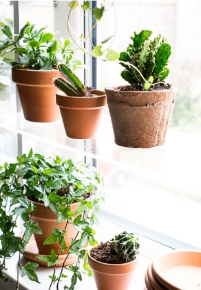 diy-floating-window-plant-shelf