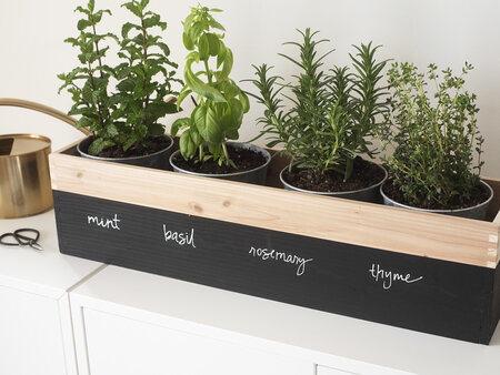 diy-herb-garden-planter