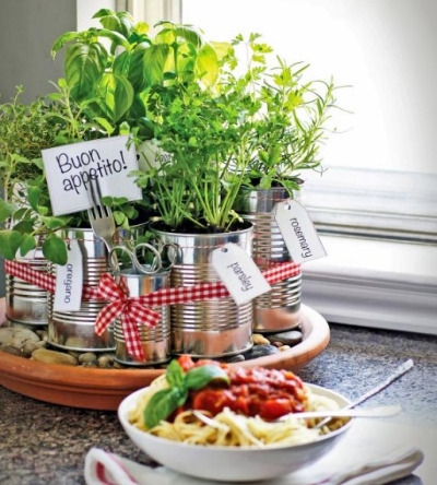 grow-your-own-kitchen-countertop-herb-garden