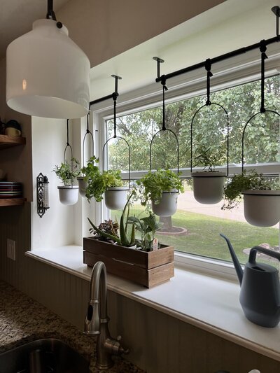 hanging-herb-garden-for-window-modern