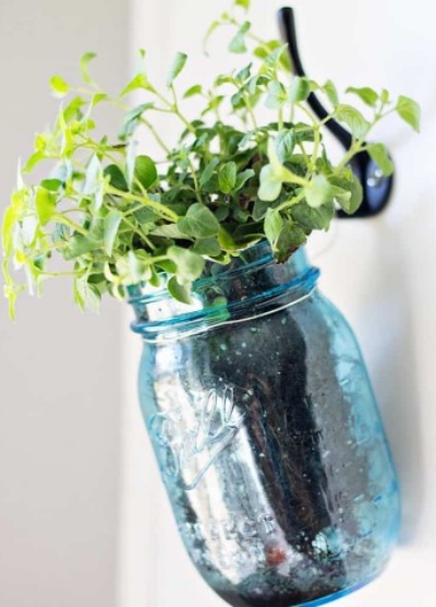 hanging-herb-mason-jars