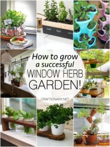 30 Window Herb Garden Ideas for a successful experience - Craftionary