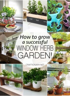 30 Window Herb Garden Ideas for a successful experience