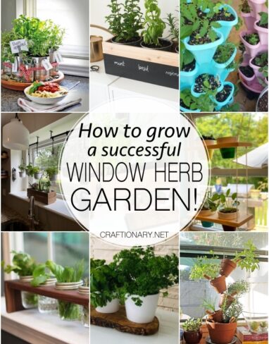30 Window Herb Garden Ideas for a successful experience