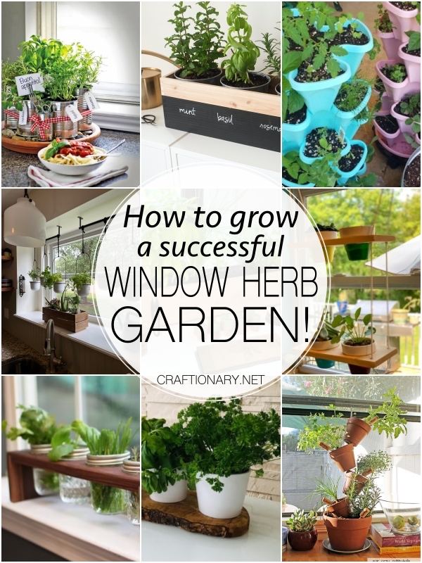 herb-garden-ideas-for-window