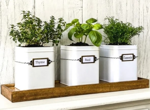 how-to-make-a-diy-indoor-herb-garden-kit-for-your-kitchen-window