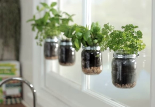 how-to-make-a-indoor-garden-on-your-window