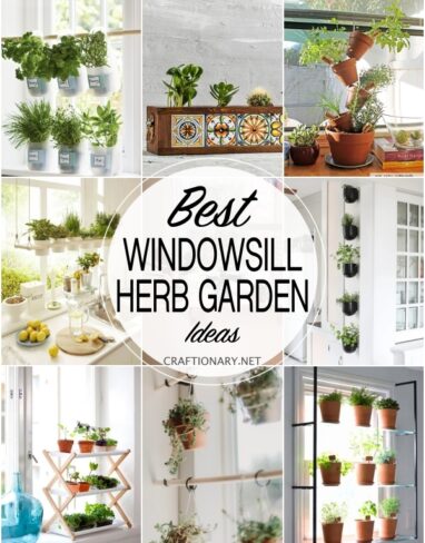 25 UNIQUE Windowsill Herb Garden Ideas