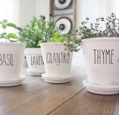 Labelled flowerpot using sharpie.