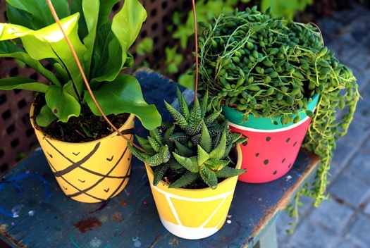 Painting fruits on pots