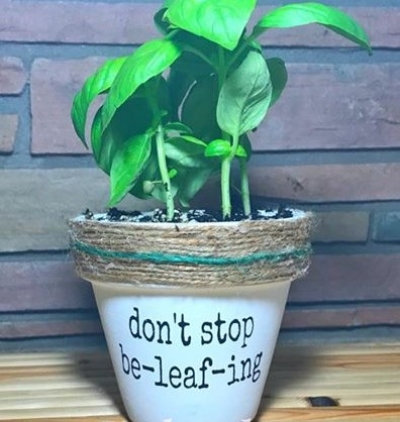 diy-punny-painted-pots