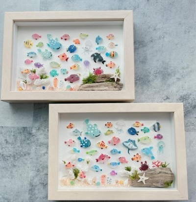 colorful fish aquirium