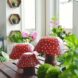 DIY Bowl and Glass Mushrooms Garden Decor