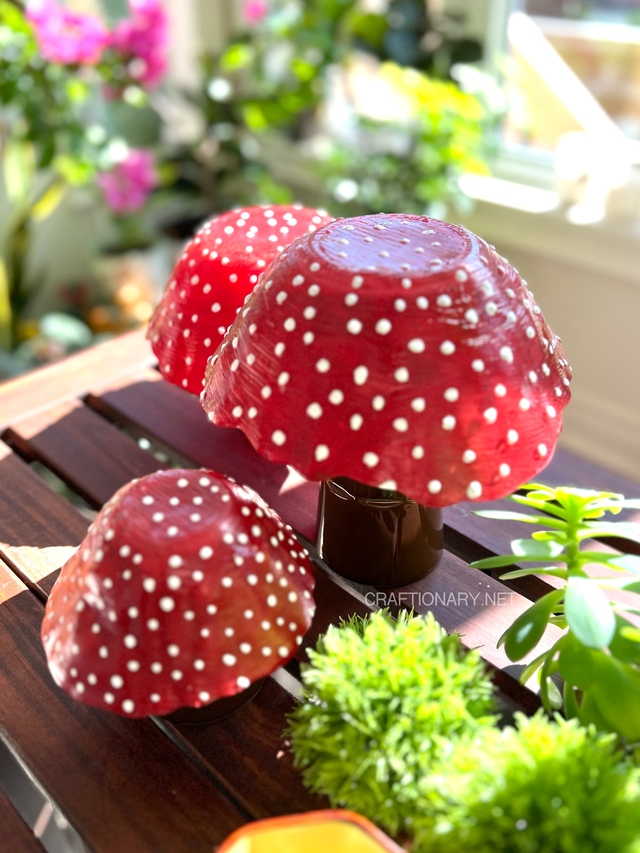 mushrooms-shrooms-beautiful-idea