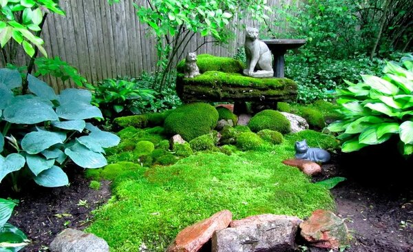 Create-a-Moss-Garden