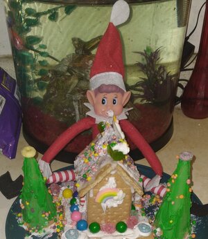 Elf-Eating-Gingerbread-House