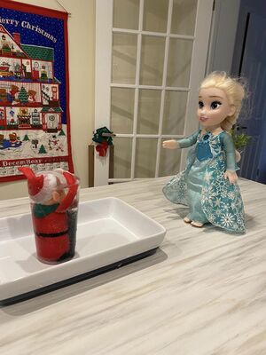 Elsa-freezes-elf