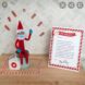 150 Elf on the Shelf Ideas for Families - Craftionary