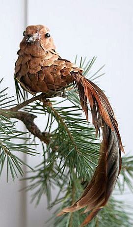 NaturalPineConeBird