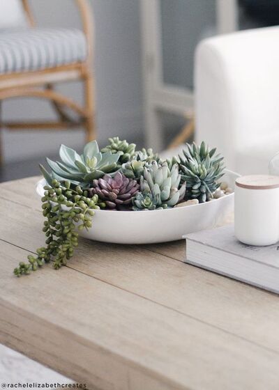 Succulent-Zen-Table-top