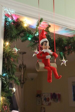 Toilet-Paper-Roll-Swing-for-Elf