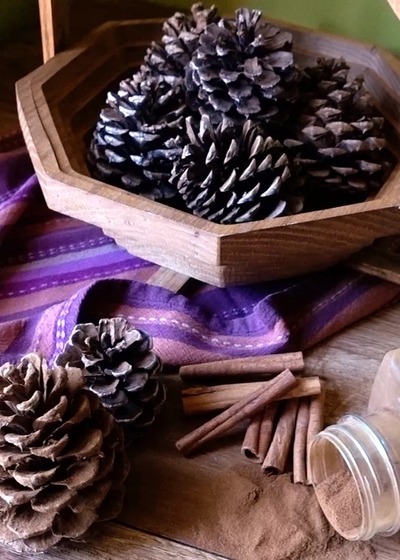 cinnamonscentedpinecones